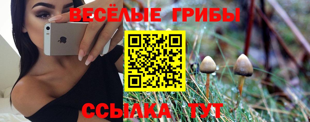 Советский  Псилоцибиновые грибы Psilocybine cubensis  Вход с VPN 